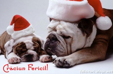 Craciun Fericit!